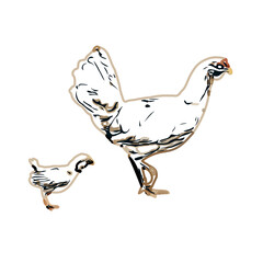 Color sketch of a hen with transparent background