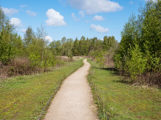 Fototapeta na wymiar Path through a nature reserve with grass and trees