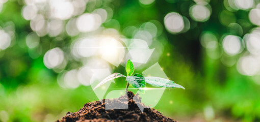 plant, nature, leaf, earth, grow, protection, eco, seed, recycle, soil. take plant and leaf then that's nature growth to tree. recycle symbol. planet planting seeding earth natural grass.