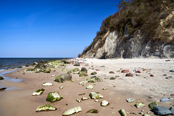 Fototapeta na wymiar A stony beach and tree-covered cliff over the Baltic Sea on the island of Wolin