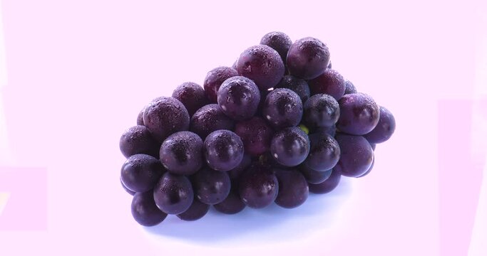 Taiwan, fruit, Kyoho grapes, purple grapes, grapes