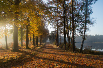unending road in autumn light. 