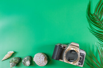 The beach accessories on the green background. Summer is coming concept.