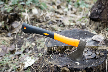 Eine Axt oder Beil, steckt in einem toten Baumstumpf.
