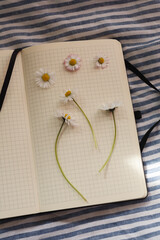 Daisies lying on the page of a notebook placed on a white and blue striped material