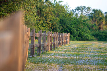 Wooden fence barrier at farm grounds for cattle and territory protection