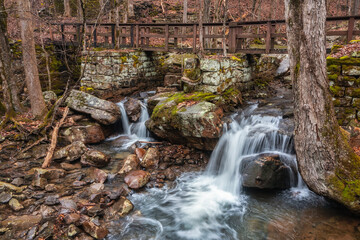 waterfall in the forest