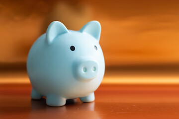 Piggy bank isolated on colored background
