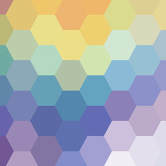 Color hexagon background in polygonal style. Vector template for presentations, advertisements, brochures, banners and more. eps 10