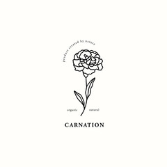 Line art carnation branch illustration	
