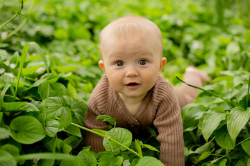 a little boy with big eyes in a brown jumpsuit crawls on the green grass