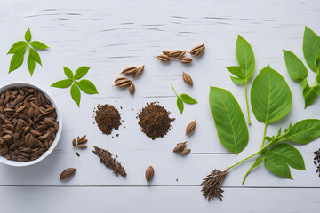 various herbal leaves and seeds on neutral background - 597584256