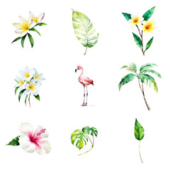 Tropical watercolor set, generative ai illustration, hand drawn style