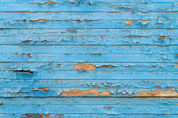 Texture from old wooden boards with peeling paint. Background painted in blue color. Closeup.