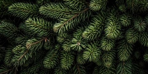 background of green spruce branches close-up. Generative AI