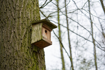 Bird house on tree in summer.