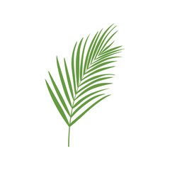 Tropical Leaf Silhouette, Leaf Icon, Tropical Plant, Tropical Leaf Vector, Tropical Leaf Illustration, Nature Leaf, Vector Illustration Background