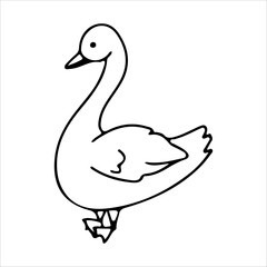 Goose Line. Duck. Domestic birds. Cute animal. Livestock, animal, Farming. Farm. Vector illustration isolated on white background.