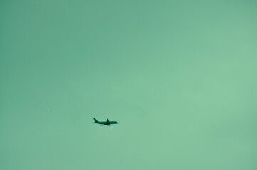 Plane in sky