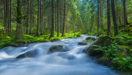 blue river rushing among fir tree forest