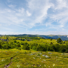 Fototapeta na wymiar green mountain plateau at summer day