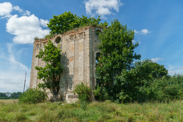 Fototapeta na wymiar Ruins of an old antique building overgrown with grass and shrubs. Ruins of an old fortress or manor in a field against the background of clouds in summer. Historical and cultural value.