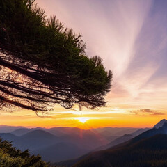 Natural Landscape. sunset