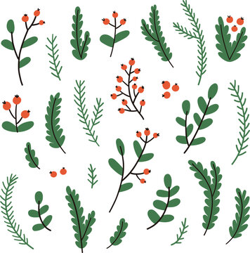 Hand drawn winter branches and leaves. Vector elements.