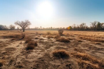 Barren field under a scorching sun, devoid of crops or any sign of life. Generative AI