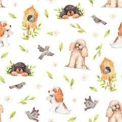 Fototapeta premium Pattern with american cocker spaniel. Spring seamless watercolor texture on white background. Hand-drawn pattern with dogs, birds, birdhouse