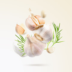 Flying fresh organic garlic with green leaves dill on a gradient beige background. Creative food concept for health, protection against colds. Spice for cooking, fragrant root vegetables to immunity