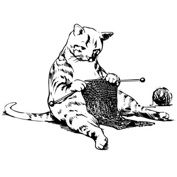 knit cat - sitting upright and knitting a scarf