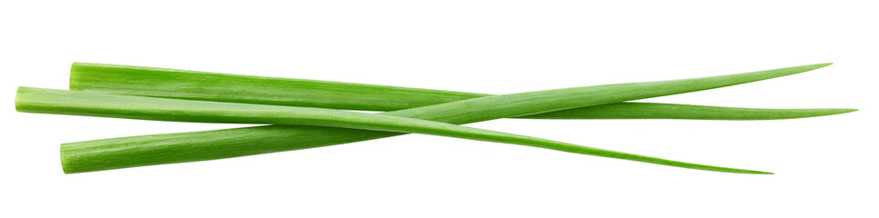 Green Onion isolated on white background, full depth of field