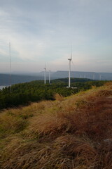 Fototapeta na wymiar Wind turbines farm on sunset in winter