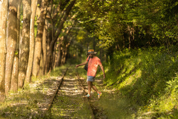 Naklejka na ściany i meble Backpacker man, walking along train tracks, observing Portugal's lush green forest in summertime. Wearing hat, pink t-shirt and short with sandals. Sunbeams.