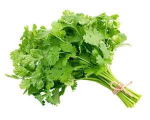 Coriander leaves isolated on white background, full depth of field