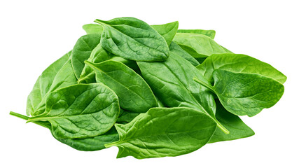 Spinach isolated on white background, full depth of field