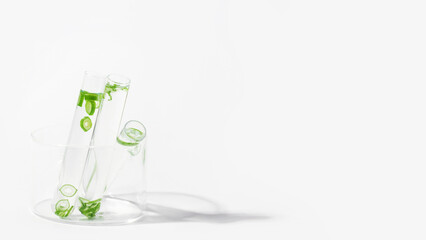 organic cosmetics, natural cosmetics, biofuels, algae. Natural green laboratory. Experiments. Laboratory glassware and containers with green plants on a light background.