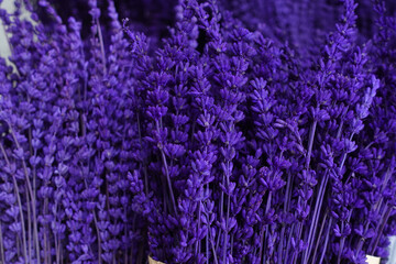 Dry Lavender Bunches Close up ,