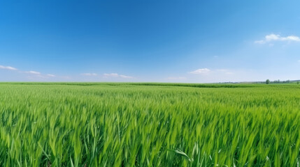 Juicy green field. Illustration AI Generative.