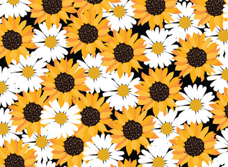 daisies and sunflowers pattern