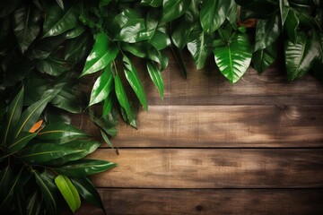 Obraz premium green leaves on wooden background