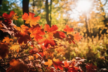 autumn landscape and sunlight.. AI generative
