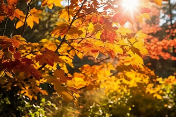 Fototapeta premium autumn landscape and sunlight.. AI generative