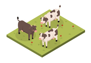 Lawn with cows