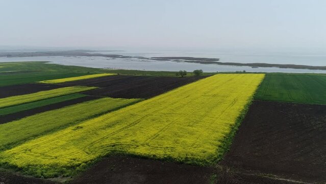 Manyas Bird Paradise, Balikesir. The pelican colony swims in the lake. Aeria view drone shot.