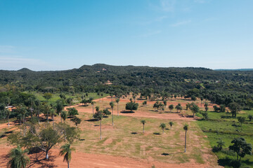Fototapeta premium Natural landscape of forest and mountains. Beautiful nature with trees and hills in the background