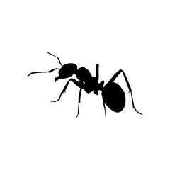 Ant Silhouette for Art Illustration, Logo, Pictogram, Website, or Graphic Design Element. Vector Illustration