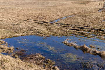 puddles on an agricultural field after rains and snowmelt