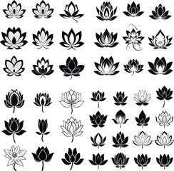 flower lotus illustration floral vector nature silhouette design pattern tattoo abstract art decoration	